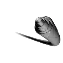 Besaitung Mit Tennissaite IsoSpeed Control New (Kontrolle+Armschonung) Natur -Deutschland Our Tennis Gear Verkaufs-Shop Control 900x900 1