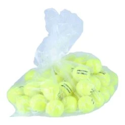 Dunlop Tennisbälle Training (drucklos) Gelb Polybag 60er -Deutschland Our Tennis Gear Verkaufs-Shop DUNLOP 605034 1 1200x1200 1