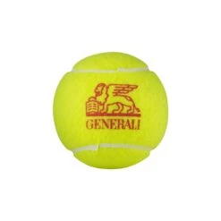 Dunlop Tennisbälle Trainer VDT Official Dose 18x4er Im Karton -Deutschland Our Tennis Gear Verkaufs-Shop Dunlop 603761 dunlop20trainer 4pet Ball 3 1024x1024 2
