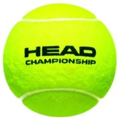 Head Tennisbälle Championship Dose 4er -Deutschland Our Tennis Gear Verkaufs-Shop HEADChampionshipball 408x408 1