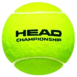 Head Tennisbälle Championship Dose 36x4er Im Karton -Deutschland Our Tennis Gear Verkaufs-Shop HEADChampionshipball 408x408 2