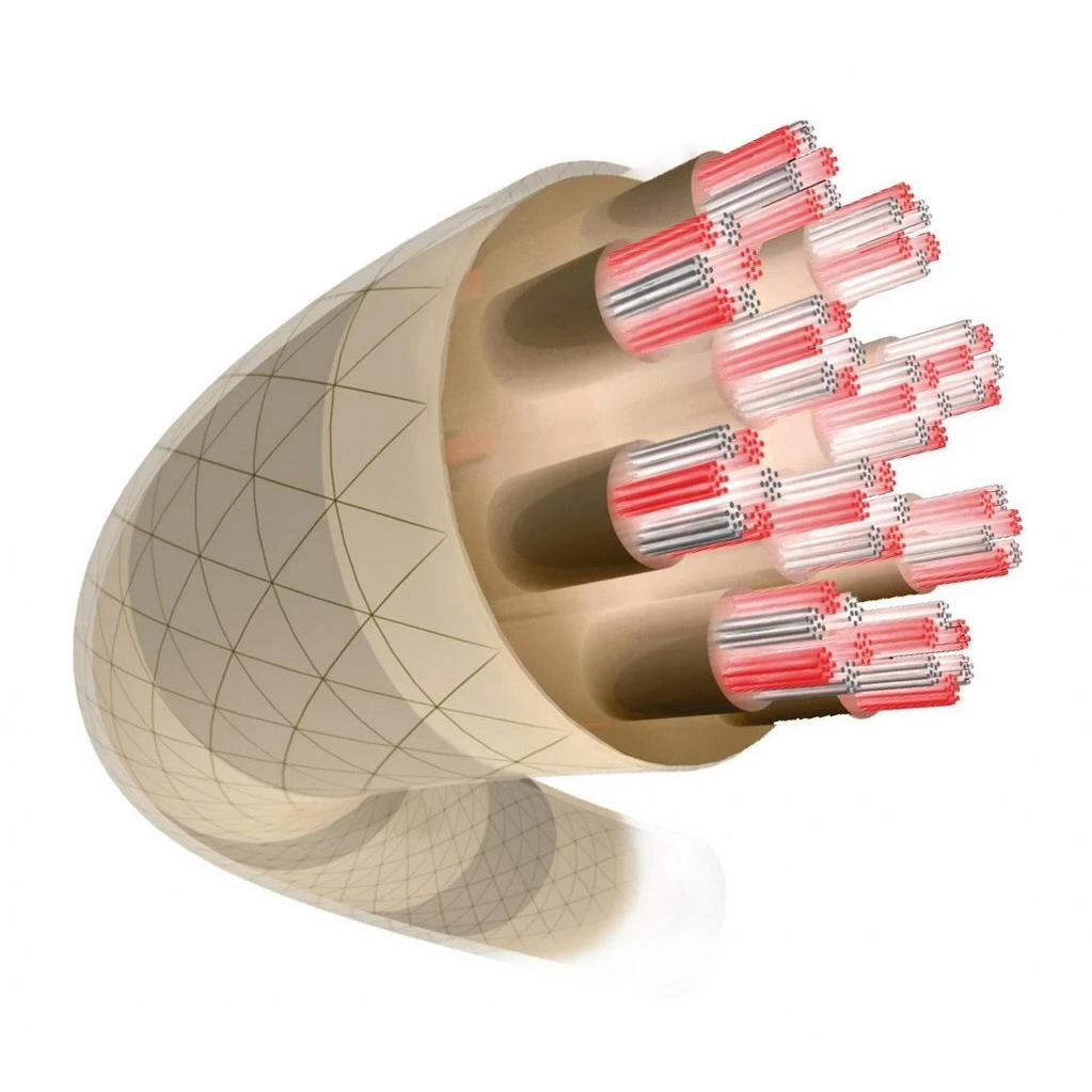 Besaitung Mit Tennissaite Tecnifibre X-One Biphase (Touch+Power) Natur 2 Besaitung Mit Tennissaite Tecnifibre X-One Biphase (Touch+Power) Natur – Bild 2