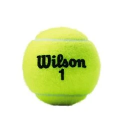 Wilson Tennisbälle Championship Dose 3er -Deutschland Our Tennis Gear Verkaufs-Shop Wilson WRT100101 Black Wilson 1 Ball No Shadow201 784x784 1