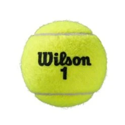 Wilson Tennisbälle Roland Garros Allcourt Dose 4er -Deutschland Our Tennis Gear Verkaufs-Shop Wilson WRT116400 2 Roland Garros Official Ball204 727x727 2